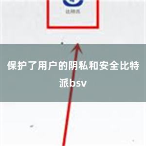 保护了用户的阴私和安全比特派bsv