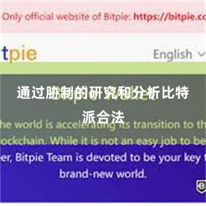 通过胁制的研究和分析比特派合法