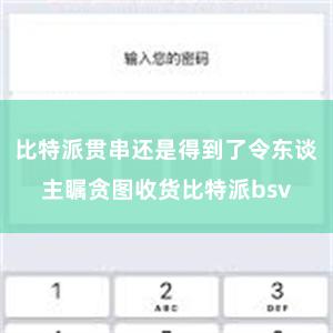 比特派贯串还是得到了令东谈主瞩贪图收货比特派bsv